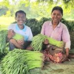 Mr Soeung Nop with his wife, they both hold morning glory. They are smiling.