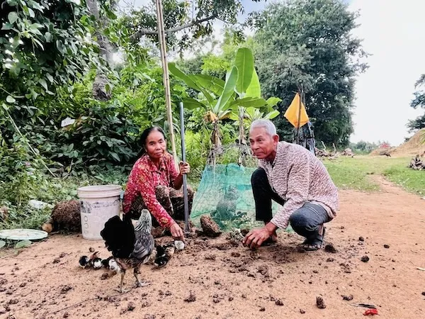A man and a woman planting a plant.