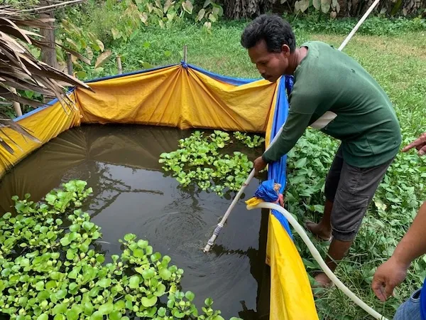 Man outside, cleaning a basin full of water.