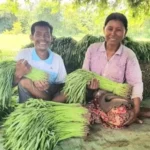 Mr Soeung Nop with his wife, they both hold morning glory. They are smiling.