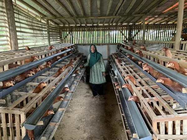 Woman inside a farm building, surrounded by her chickens.